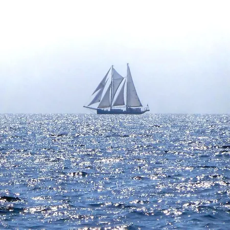 B01 Cook Fehmarn